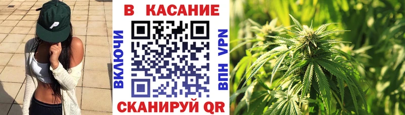 Конопля Звенигово