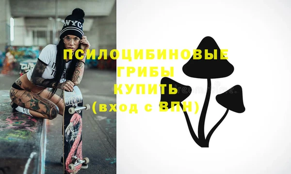 бошки Балахна