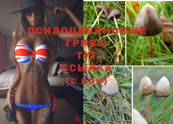 2c-b Баксан