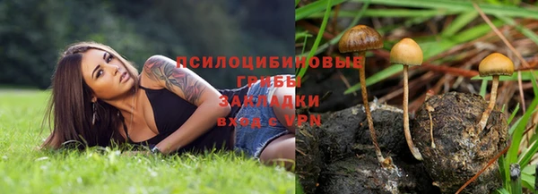 мяу мяу мука Балабаново