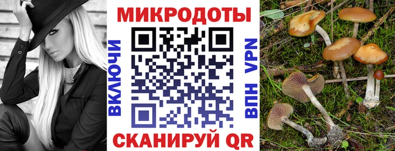Псилоцибиновые грибы мицелий  kraken   Звенигово 